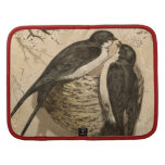 Pintura linda blanca negra de los pájaros del amor planificadores