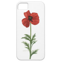 Pintura roja de la amapola de Wanda Zuchowski-Schi iPhone 5 Case-Mate Carcasas