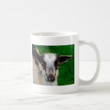 Pintura Tazas