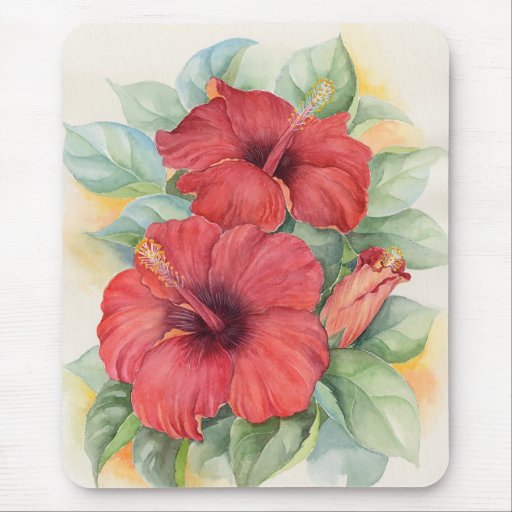 Pintura tropical de la flor del hibisco rojo - mul alfombrillas de ratones