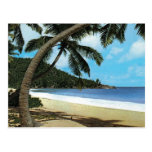 Pintura tropical de la playa postales