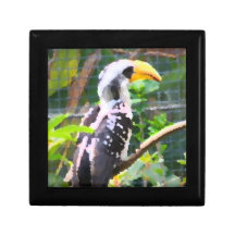 pintura tropical del extracto del pájaro del hornb caja de joyas