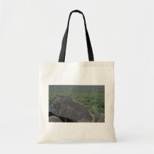 Pinturas en rocas bolsas