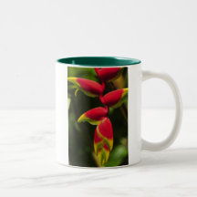 Pinza de langosta colgante Heliconia Taza