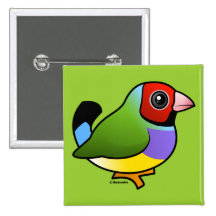 Pinzón de Gouldian