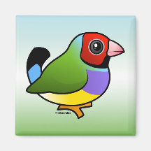 Pinzón de Gouldian Iman