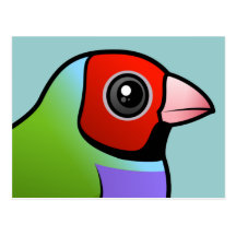 Pinzón de Gouldian Tarjetas Postales