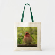 Pinzón púrpura bolsas de mano