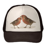 Pinzones de casa gorras