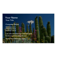 Pique muchas plantas, desierto de Sonoran, flores  Tarjeta De Visita