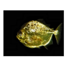 Piranha Postkarte