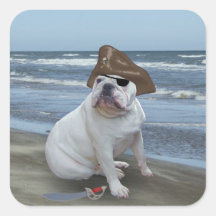 Pirata del dogo colcomanias cuadradas