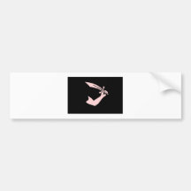 Piratenfahne pirate flag autosticker