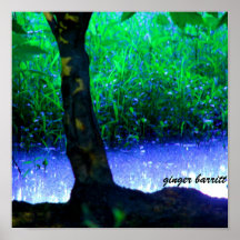 Piscina del Faery por el barritt del jengibre Posters