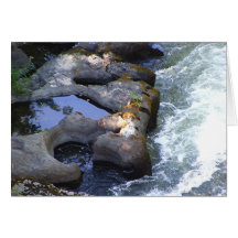 Piscinas del río felicitacion 