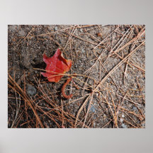 Piso del campo 4 posters