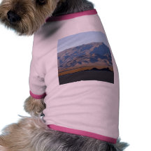 Pista Playa Gransstand Camiseta De Mascota
