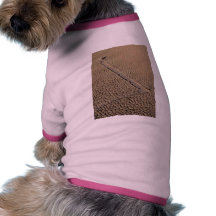 Pista Playa que resbala las piedras que mueven roc Camisetas De Mascota