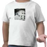 Pistas animales en nieve camisetas