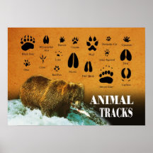 Pistas animales poster
