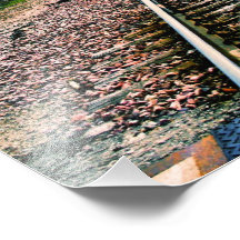 Pistas del ferrocarril foto