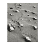 Pistas del pájaro y lona envuelta B&W de las rocas Impresión En Lona Estirada