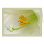 Pistil y estambre tarjeton