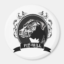 PITBULL (3) IMAN