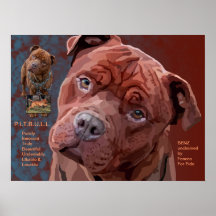 Pitbull "Benz" de las cercas para el poster de Fid