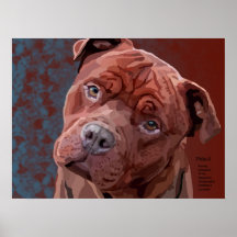 Pitbull "Benz" de las cercas para el poster de Fid