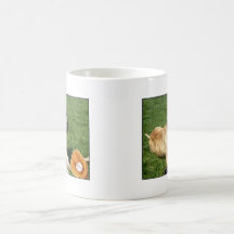 Pitbull con béisbol tazas de café