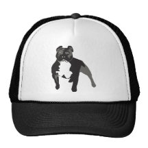 Pitbull Gorras