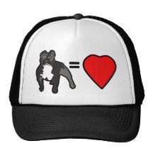 Pitbull Gorras
