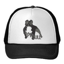 Pitbull Gorras