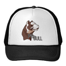 Pitbull Gorro