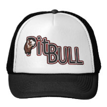 Pitbull Gorros