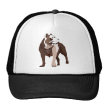 Pitbull Gorros