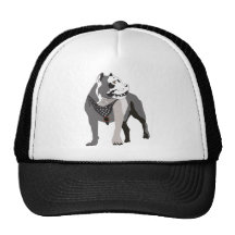 Pitbull Gorros Bordados
