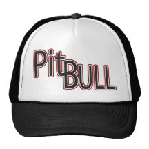 PITBULL GORROS BORDADOS