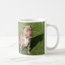 Pitbull pacífico taza de café