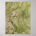 Pizarra--1 Poster