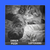 ¿PIZZA O SOBRAS? imanes