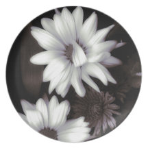 Placa blanca de las margaritas del Gerbera Platos