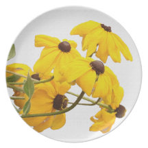 Placa de cena de Coneflowers Plato Para Fiesta