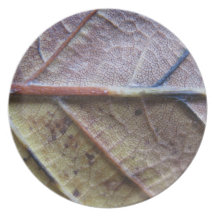Placa de cena de la hoja del otoño de Nutural Plato