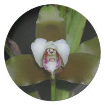 placa de la orquídea plato de cena