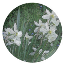 Placa de los "narcisos blancos" plato de cena