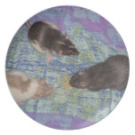 Placa: ¡Mealtime de la rata! Plato Para Fiesta