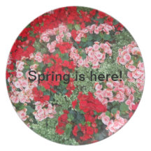 Placas florales para la primavera plato