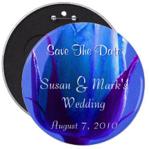 Placer color de rosa azul pins